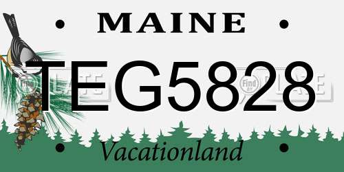 TEG5828 Maine License Plate