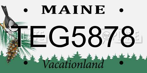 TEG5878 Maine License Plate