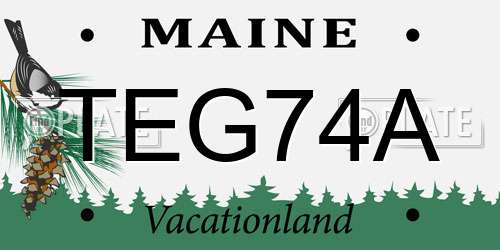 TEG74A Maine License Plate