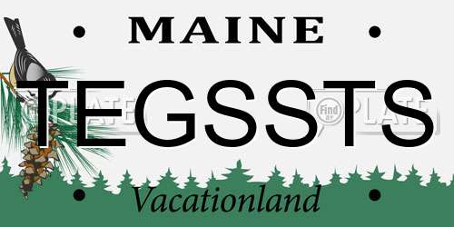 TEGSSTS Maine License Plate