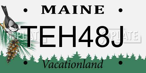 TEH48J Maine License Plate