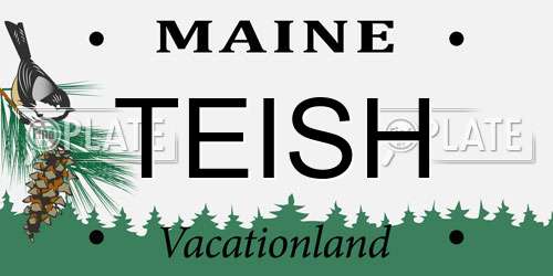 TEISH Maine License Plate