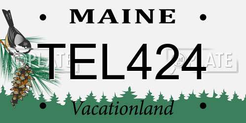 TEL424 Maine License Plate