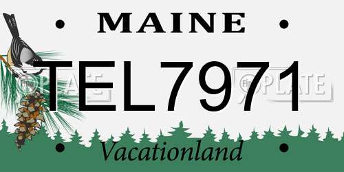 TEL7971 Maine License Plate