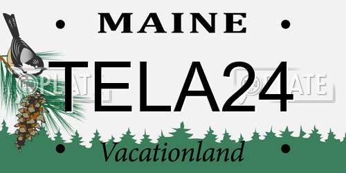 TELA24 Maine License Plate