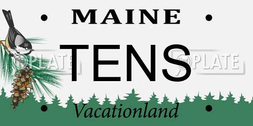 TENS Maine License Plate