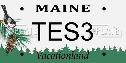 TES3 Maine License Plate