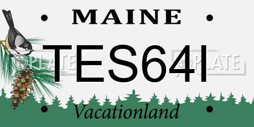 TES64I Maine License Plate