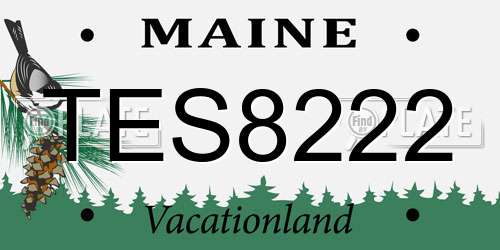 TES8222 Maine License Plate