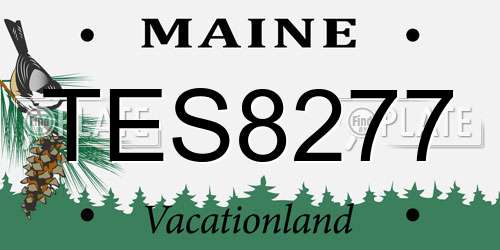 TES8277 Maine License Plate