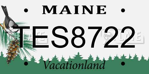 TES8722 Maine License Plate