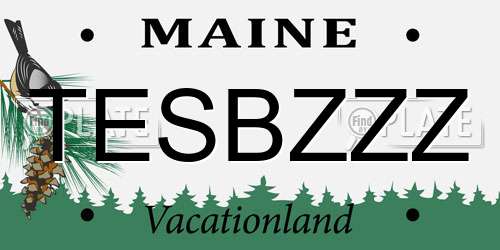TESBZZZ Maine License Plate