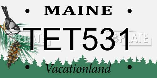 TET531 Maine License Plate