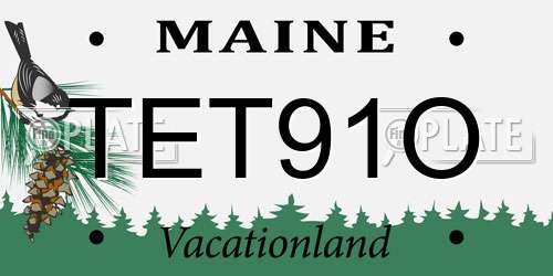 TET91O Maine License Plate