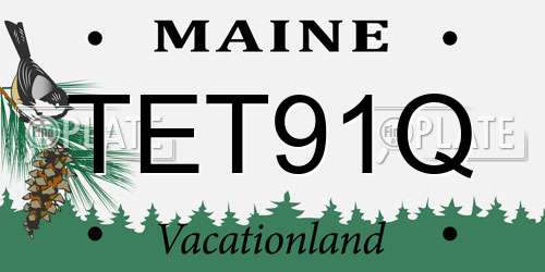 TET91Q Maine License Plate