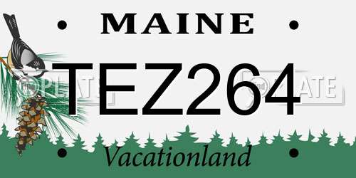 TEZ264 Maine License Plate