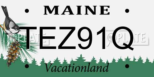 TEZ91Q Maine License Plate