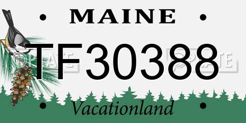 TF30388 Maine License Plate