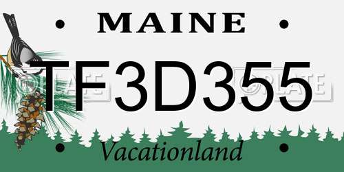 TF3D355 Maine License Plate