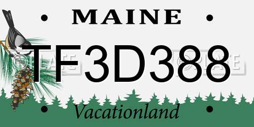 TF3D388 Maine License Plate