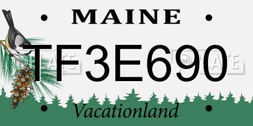 TF3E690 Maine License Plate
