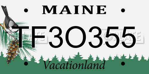 TF3O355 Maine License Plate