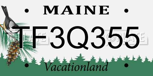 TF3Q355 Maine License Plate