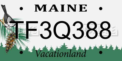TF3Q388 Maine License Plate