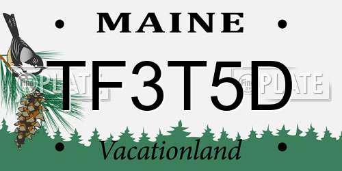 TF3T5D Maine License Plate