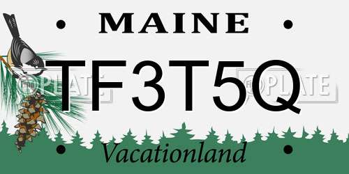 TF3T5Q Maine License Plate