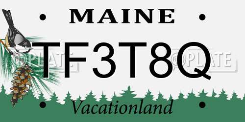 TF3T8Q Maine License Plate