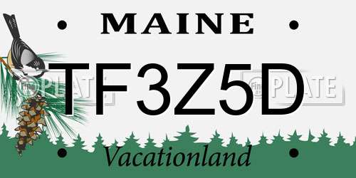 TF3Z5D Maine License Plate