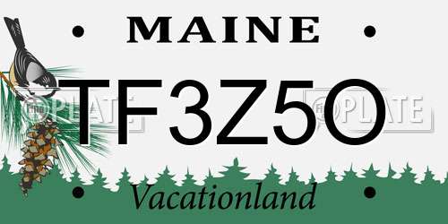 TF3Z5O Maine License Plate
