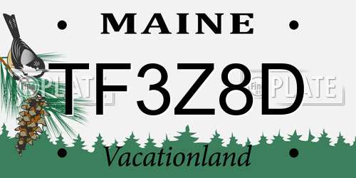 TF3Z8D Maine License Plate