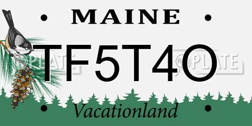 TF5T4O Maine License Plate