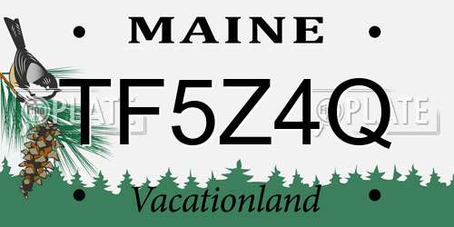 TF5Z4Q Maine License Plate