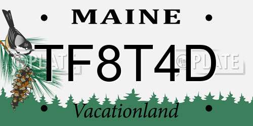 TF8T4D Maine License Plate