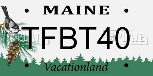 TFBT40 Maine License Plate