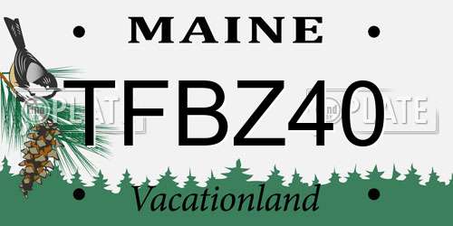 TFBZ40 Maine License Plate