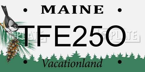 TFE25O Maine License Plate