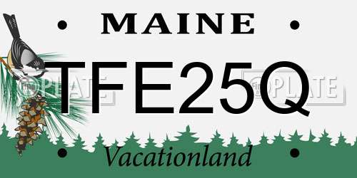 TFE25Q Maine License Plate