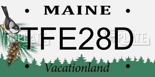 TFE28D Maine License Plate