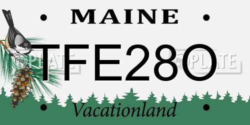 TFE28O Maine License Plate