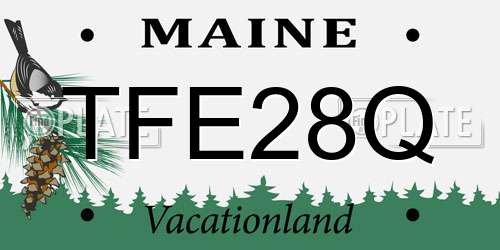 TFE28Q Maine License Plate