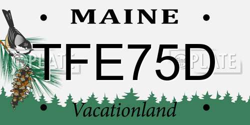 TFE75D Maine License Plate