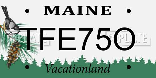 TFE75O Maine License Plate