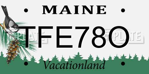 TFE78O Maine License Plate