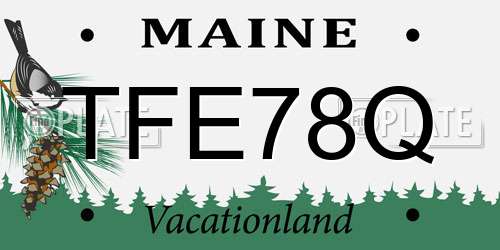 TFE78Q Maine License Plate