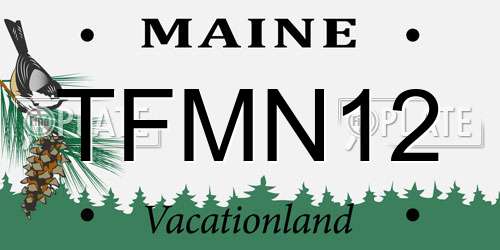 TFMN12 Maine License Plate