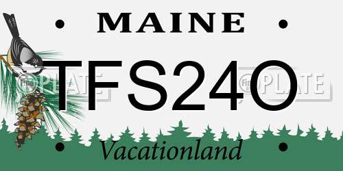 TFS24O Maine License Plate